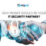 IT Security Partner