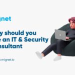 Hire An IT & Security Consultant