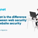 difference between web security and website security