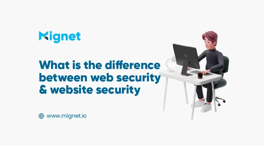 difference between web security and website security