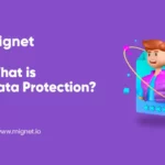 What is Data Protection